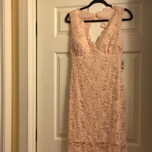Pink Formal Lace and sequins gown.